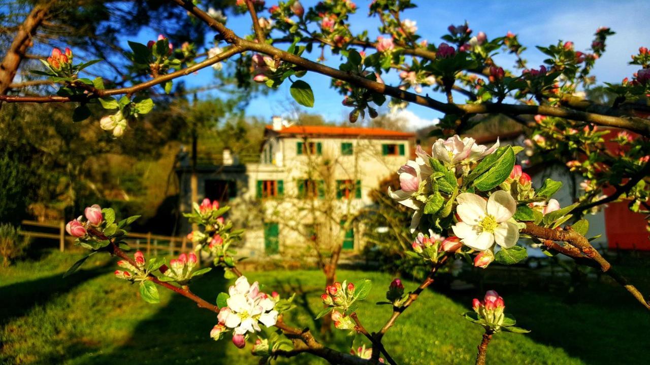 B&B Tre Ponti Castiglione Chiavarese Exterior photo